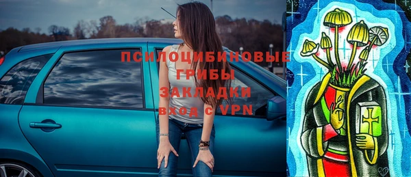 сатива Абаза