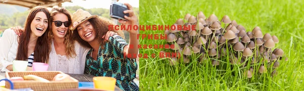 прущие крисы Алексин