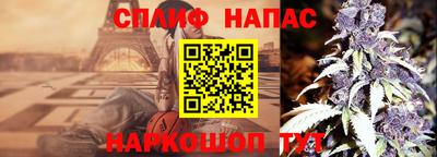 молекула духа Коммунар