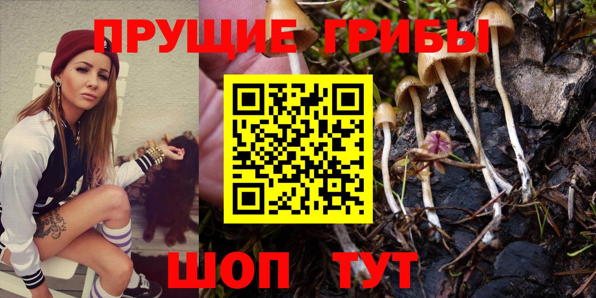 наркота  Галлюциногенные грибы Magic Shrooms  Вход с VPN  Псилоцибиновые грибы мухоморы  Донской 