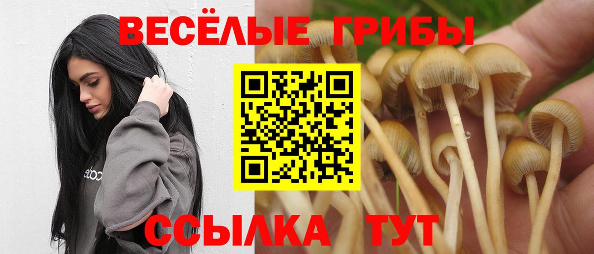 Псилоцибиновые грибы ЛСД Донской
