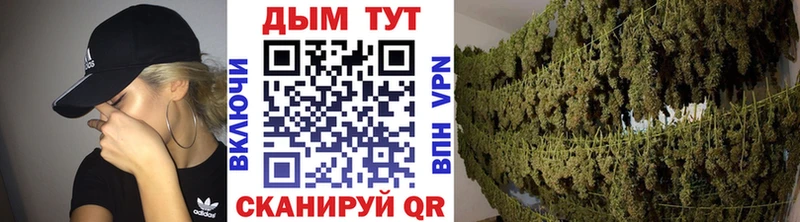 Каннабис MAZAR  Донской 